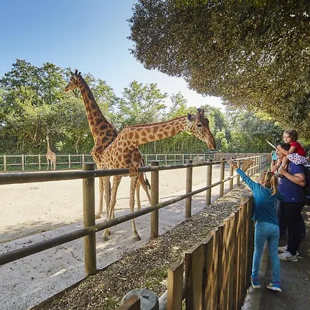 Dom wakacyjny Maison Avec Dependance Dans Le Jardin Pour 6 *